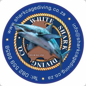 Shark & Marine Research Institute